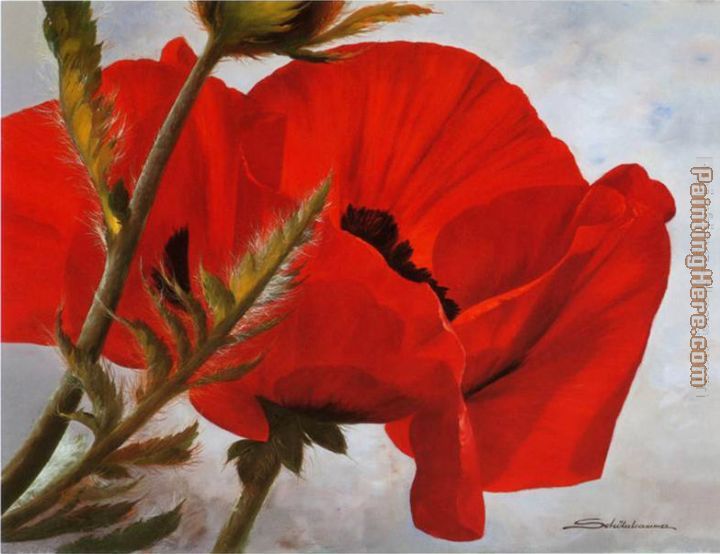 The Red Poppy painting - Heinz Scholnhammer The Red Poppy art painting